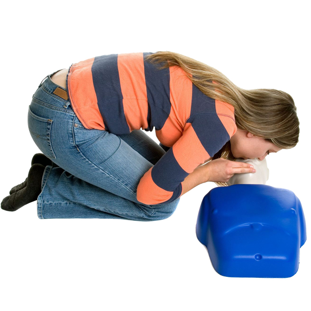 Paediatrics Wellness